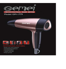 1779 GM Gemei Фен (50)