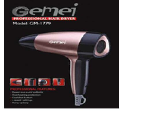 1779 GM Gemei Фен (50)