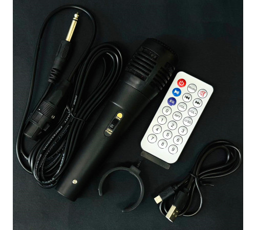 УЦІНКА Колонка JTLC JT-818 з RGB-підсвічуванням та мікрофоном (25,0*24,8*41,3см) (зламаний пульт)