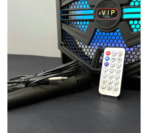 УЦІНКА Колонка VIP 830 з RGB-підсвічуванням та мікрофоном (25,0*24,8*41,3 см) (відірвана деталь всередині)