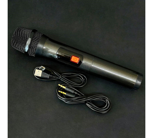 УЦІНКА Колонка HOPESTAR A50 з мікрофоном (40,8*16,0*21,7 см) (під ремонт)