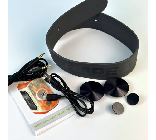 УЦІНКА Колонка HOPESTAR Party 300 з мікрофоном (37,4*17,6*26,0 см) (під ремонт)