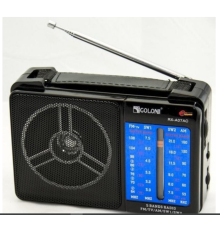 Радіоприймач Golon RX-A07AC (40)