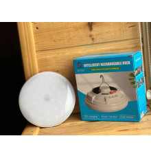 Ліхтар Лампа Лампочка ZJ-V61 (80)