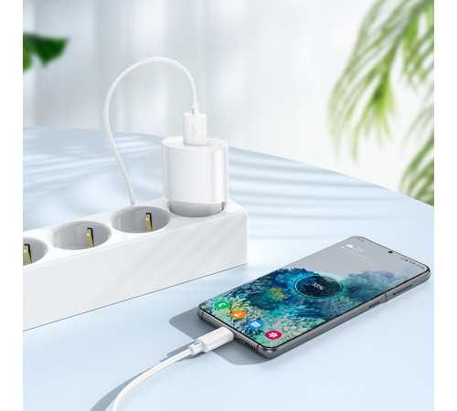 Мережевий зарядний пристрій з кабелем HOCO C109A(10.5W) Fighter single port charger set(Micro) White (6942007656603)