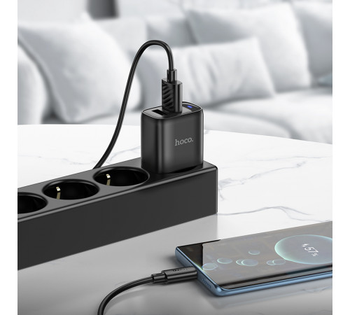 Мережевий зарядний пристрій HOCO C141A Smart dual-port charger Black (6942007627849)