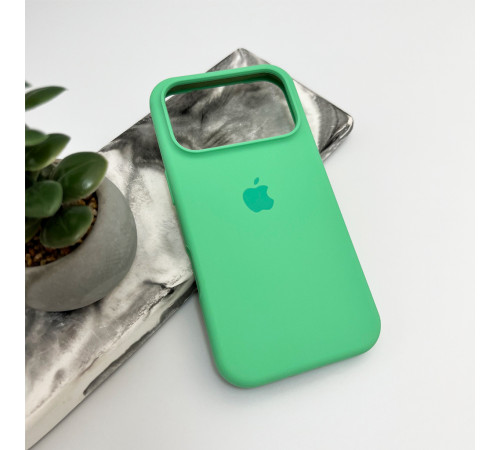 Чохол для смартфона Silicone Full Case AA Open Cam for Apple iPhone 17 Pro Max 30,Spearmint (FullOpeAAi17PM-30)