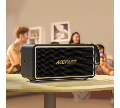 Портативна колонка ACEFAST K3 Max portable wireless speaker,40W, IPX6, Black (6974316285038)