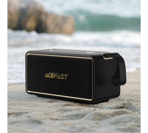 Портативна колонка ACEFAST K3 Max portable wireless speaker,40W, IPX6, Black (6974316285038)