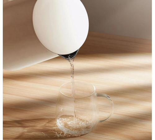 Електрочайник Xiaomi Mijia electric kettle C1 (Китайська вилка) (MJDSHO6YM)