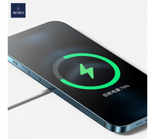 Бездротовий зарядний пристрій WIWU Wi-W009 Magnetic Wirless White (6976195091595)