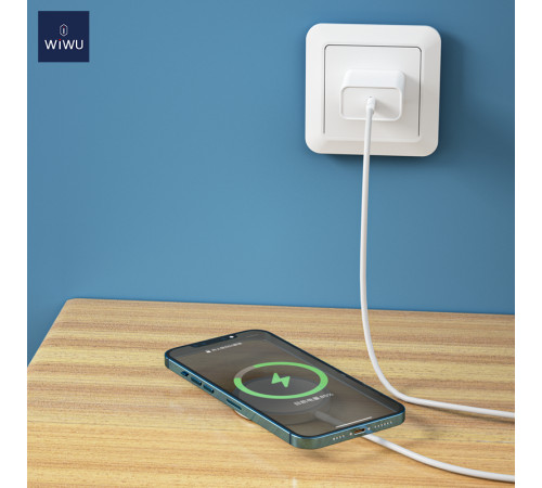 Бездротовий зарядний пристрій WIWU Wi-W009 Magnetic Wirless White (6976195091595)