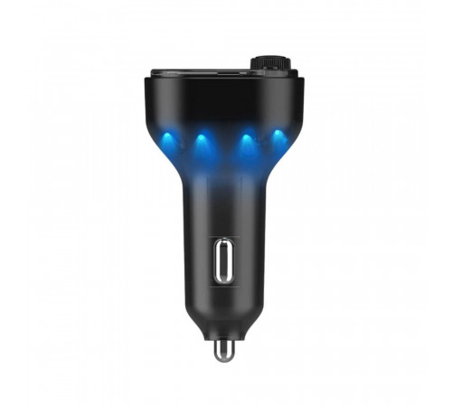 АЗП з FM-модулятором WUW-C219 (WUW-C219)