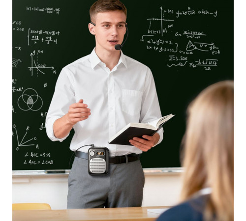 Портативна колонка з гарнітурою HOCO L23 Lemony speaker with wired microphone, 5W, Black (6942007672160)