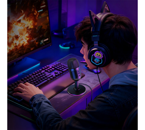 Мікрофон настільний HOCO L25 Bright (USB-A) Black (6942007673792)