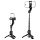 Селфі-монопод ACEFAST E43 Supports automatic selfie stand opening, (0,63cm) Black (6974316286141)