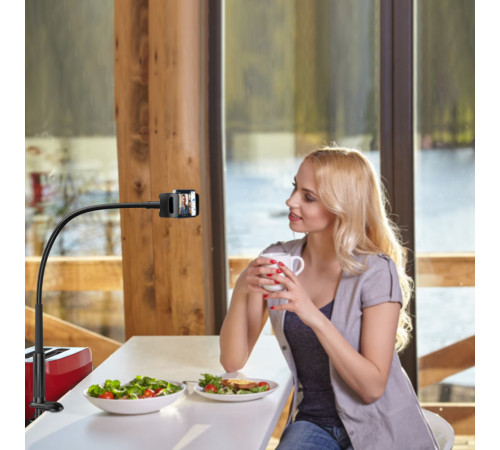 Тримач телефона ACEFAST E40 lazy holder Black (6974316286127)