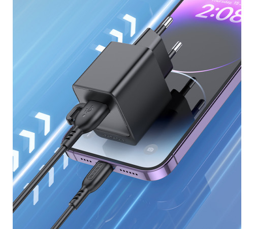 Мережевий зарядний пристрій з кабелем BOROFONE BAS11A Erudite single port charger set(iP) Black (6941991104619)