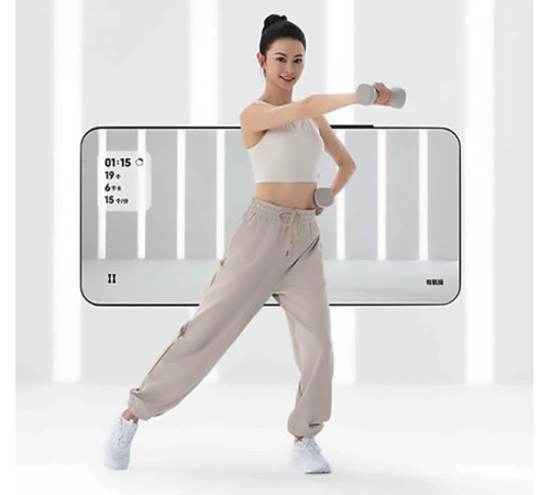 Розумні гантелі Xiaomi Mijia Intelligent Dumbbell Light Sand Color (MJYL01YMS)
