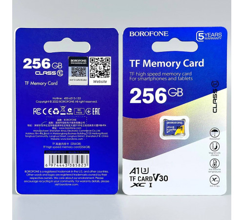 Карта пам'яті Borofone 256Gb 10 Class (без адаптера)