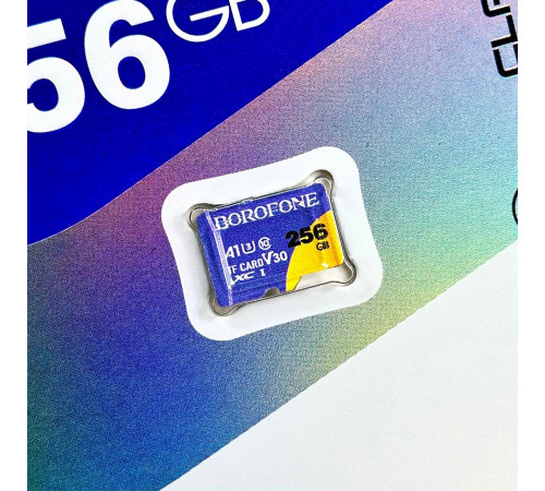 Карта пам'яті Borofone 256Gb 10 Class (без адаптера)