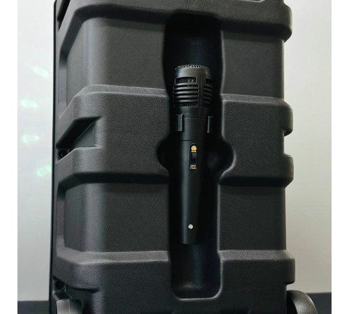 УЦІНКА Колонка VIP 830 з RGB-підсвічуванням та мікрофоном (25,0*24,8*41,3 см) (відірвана деталь всередині)