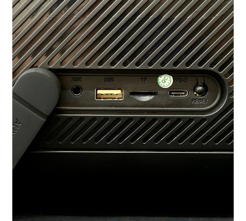 УЦІНКА Колонка HOPESTAR A50 з мікрофоном (40,8*16,0*21,7 см) (під ремонт)