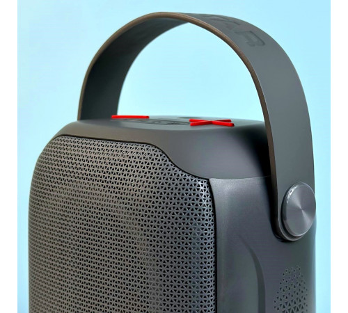 УЦІНКА Колонка HOPESTAR Party 200 mini з радіо (12,18*10,4*21,5 см) (під ремонт)