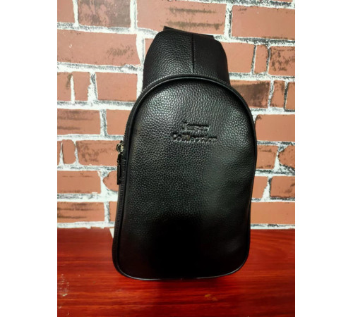 Сумка КОЖА Backpack  610  (100)