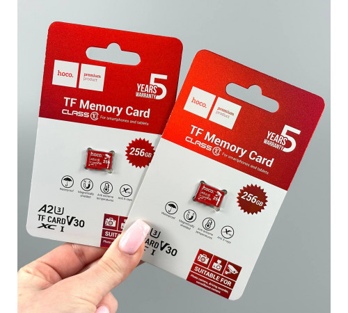 Карта пам'яті Hoco 256Gb 10 Class U-3 Ultra-high-speed (без адаптера)