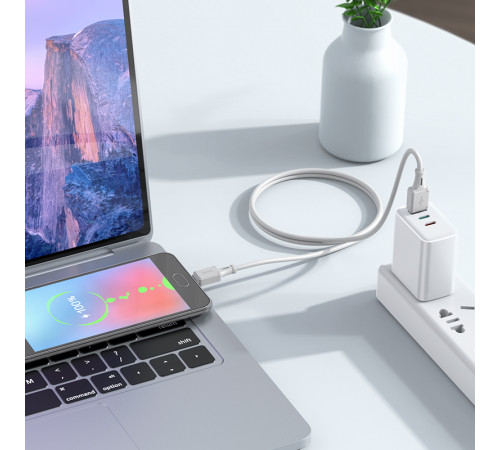 Data Cable Hoco X101 Assistant silicone Micro 2.4A 1m