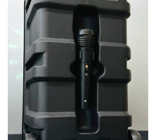 УЦІНКА Колонка JTLC JT-818 з RGB-підсвічуванням та мікрофоном (25,0*24,8*41,3см) (зламаний пульт)