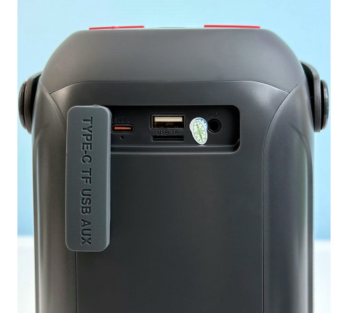 УЦІНКА Колонка HOPESTAR Party 200 mini з радіо (12,18*10,4*21,5 см) (під ремонт)