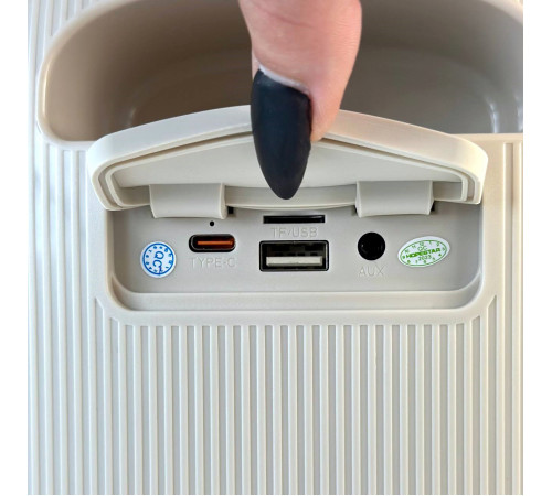 УЦІНКА Колонка HOPESTAR Party 300 з мікрофоном (37,4*17,6*26,0 см) (під ремонт)