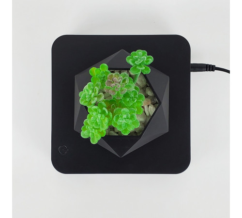 Магнітний левітаційний горщик для рослин HCNT Magnetic Levitating Pot M10-GW4 Black (SIM10-GW4)