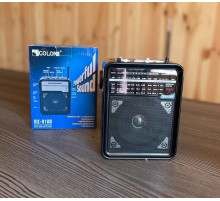 Радиоприемник GOLON RX9100, LED, 3W, AM/FM радио  (24)