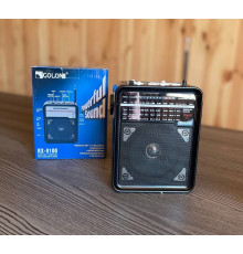 Радіоприймач GOLON RX9100, LED, 3W, AM/FM радіо (24)