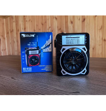 Радіо FM Golon RX-9122 (24)