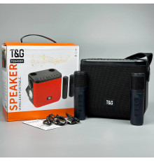 Портативна колонка TG545DK радіо, з функцією гучного зв'язку, 2 мікрофона, ліхтарик (16,0*18,2*11,5 см)