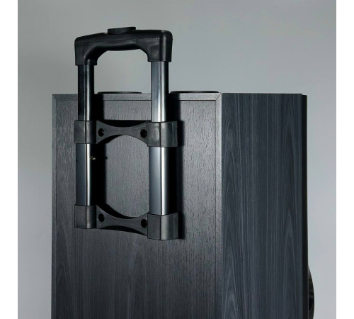 УЦІНКА Колонка Sing-e JQS9033 Powerful RGB з 2-ма мікрофонами 30W*2, 5000mAh (89,8*28,0*31,0 см) (розбита передня панель управління)