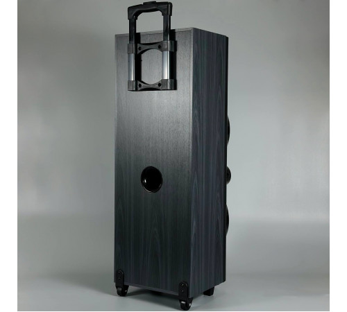 УЦІНКА Колонка Sing-e JQS9033 Powerful RGB з 2-ма мікрофонами 30W*2, 5000mAh (89,8*28,0*31,0 см) (розбита передня панель управління)