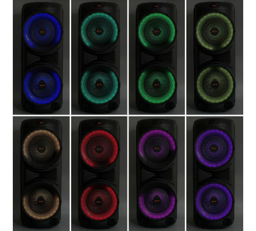 УЦІНКА Колонка Sing-e ZQS12206 RGB з мікрофоном 30W*2, 6000mAh (90,0*35,0*34,0 см) (не працює регулятор гучності)