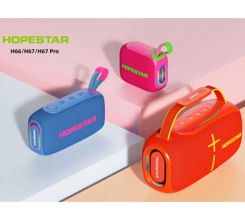 Колонка HOPESTAR H67 Pro RGB 80W, 12500mAh (27,3*14,8*12,0 см)