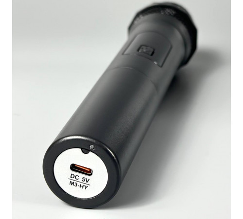 УЦІНКА Колонка Sing-e ZQS8282 RGB з мікрофоном та пультом 60W, 5000mAh (73,0*32,5*32,0 см) (тріщина на ручці)