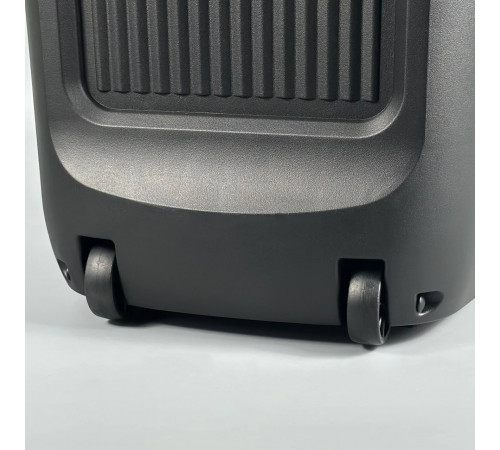 УЦІНКА Колонка Sing-e ZQS8282 RGB з мікрофоном та пультом 60W, 5000mAh (73,0*32,5*32,0 см) (тріщина на ручці)