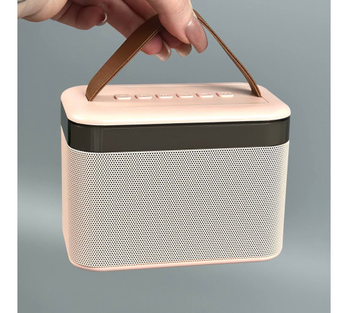 Колонка K19-2 з 2-ма мікрофонами, Bluetooth, SD, FM та підсвіткою (12,5*9*7,5см)