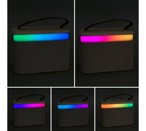 Колонка K19-2 з 2-ма мікрофонами, Bluetooth, SD, FM та підсвіткою (12,5*9*7,5см)