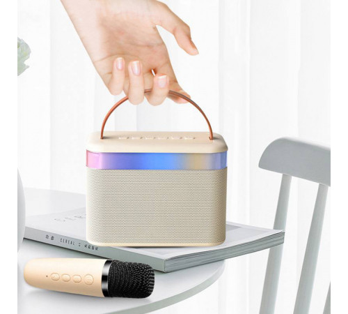 Колонка K19-2 з 2-ма мікрофонами, Bluetooth, SD, FM та підсвіткою (12,5*9*7,5см)