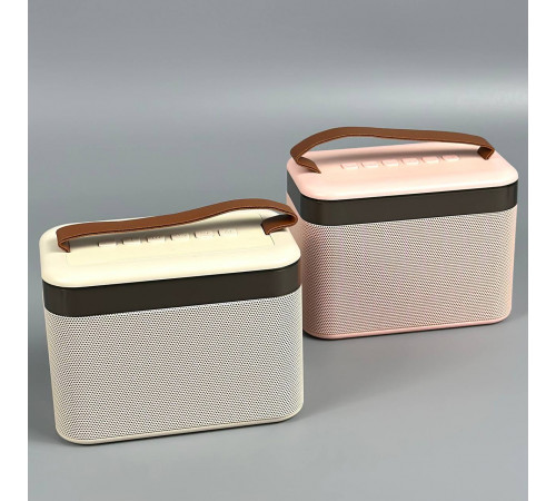 Колонка K19-2 з 2-ма мікрофонами, Bluetooth, SD, FM та підсвіткою (12,5*9*7,5см)