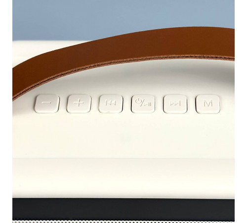 Колонка K19-2 з 2-ма мікрофонами, Bluetooth, SD, FM та підсвіткою (12,5*9*7,5см)